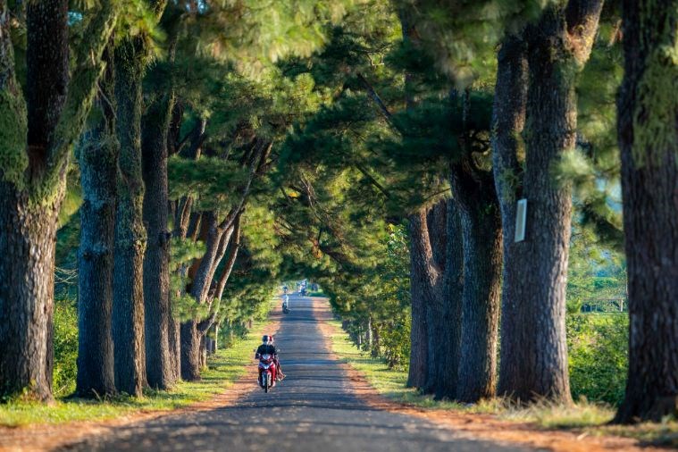 Tour Pleiku - Măng Đen - Buôn Ma Thuột 3 Ngày 2 Đêm 